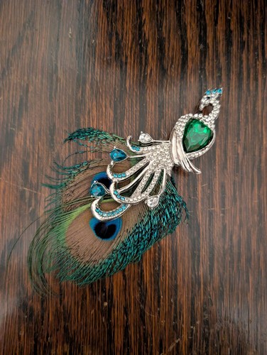 Authentic peacock feather - authentic,