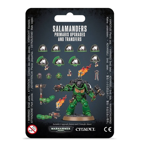 Salamanders upgrades space - upgrades,