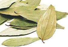Organic 3 Veins Indian Bay Leaves Dried Herbs Spices Cooking Whole Tej Patta
