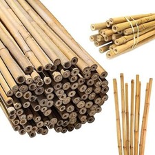 Strong Thick Bamboo Canes