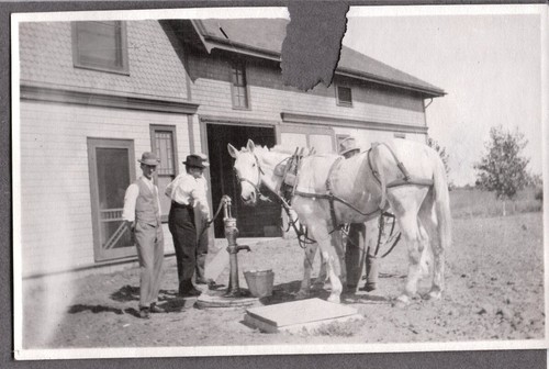 Vintage photograph horse men - vintage,