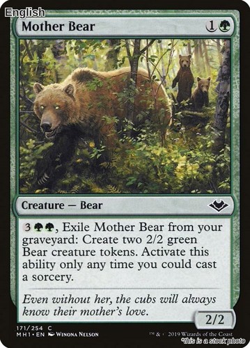 Magic mother bear - mother, common