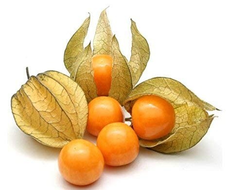 Grow sweet golden - grow, fruit