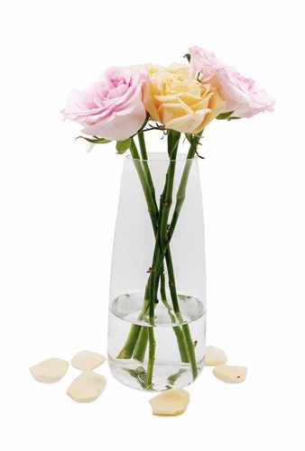 Glass flower vase ins modern - vase,,