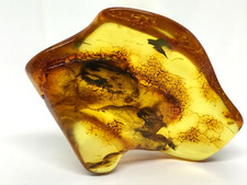 Amber piece fossil - fossil, natural