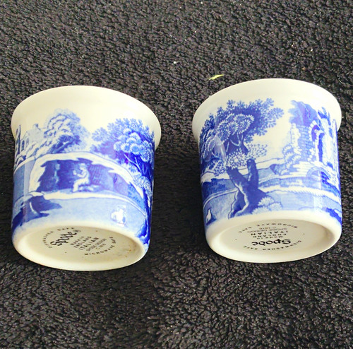 Spode italian blue - spode, egg
