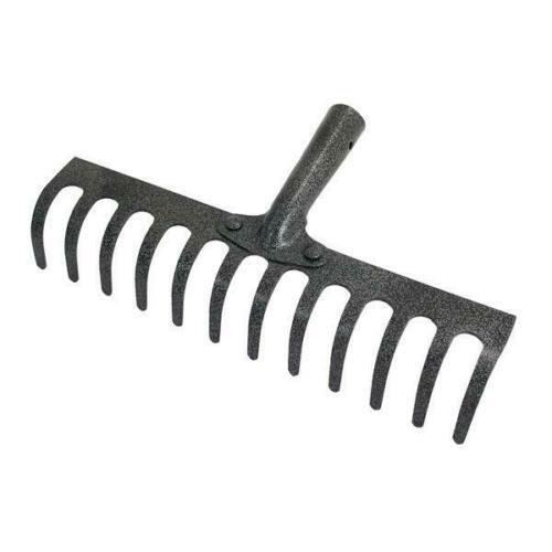 Tooth teeth replacement - tooth,