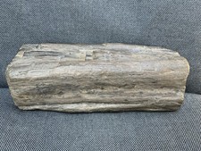 Fossil wood specimen whitby - fossil, specimen,
