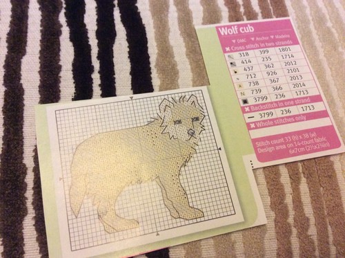 Mini wild wolf cub - mini,