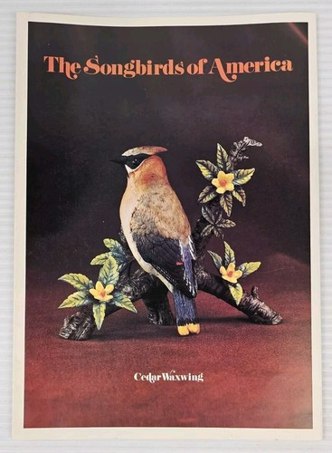 Cedar waxwing the songbirds - cedar, of