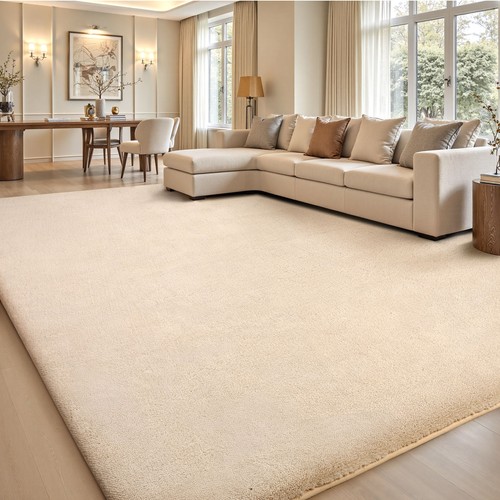 Fluffy rugs anti - rugs, large