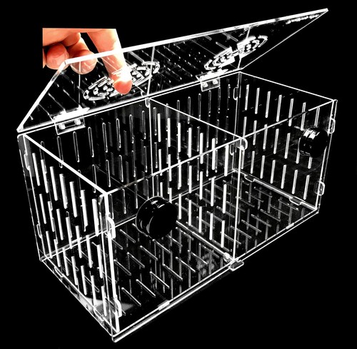 Clear acrylic magnetic - clear,