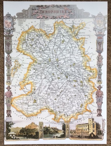 Decorative county map - county,