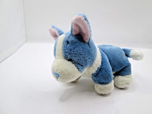 Blue nose friend jewel - my,
