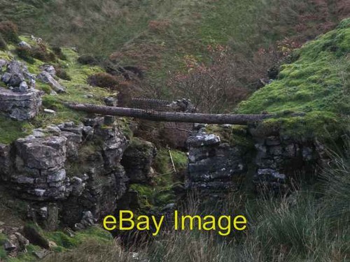 Photo 6x4 stoat trap - photo, at