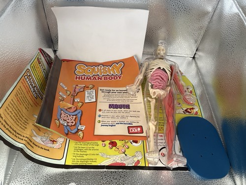 Squishy human body model - squishy,