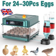 36x eggs fully automatic - fully,