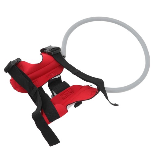 Blind dog bumper pet - dog,