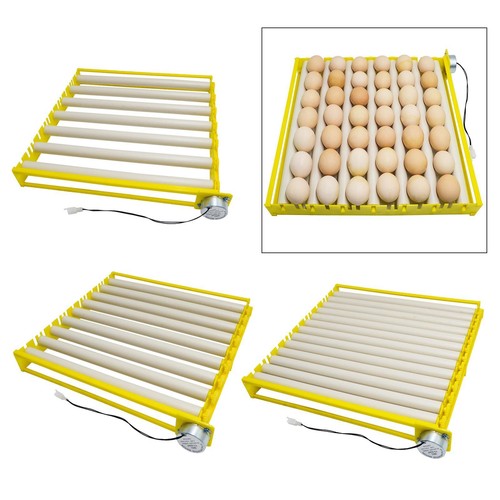 Automatic egg chick - automatic, 42/56