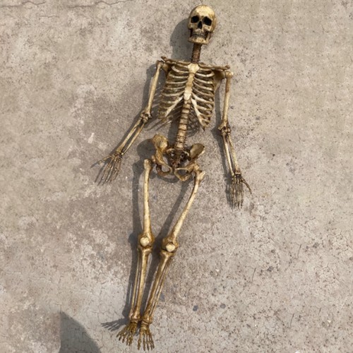 Scale human beings - 1:12,