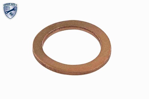 Oil sump vaico v10 - sump,