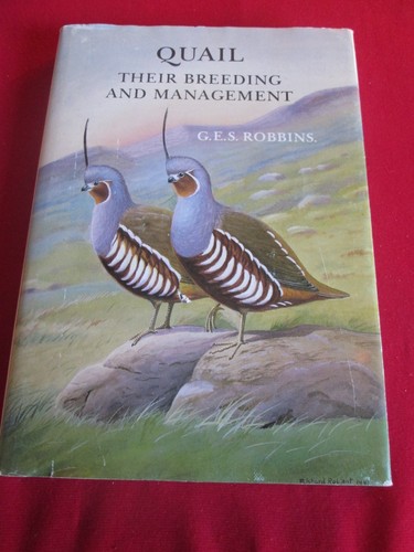 Quail their breeding - breeding, and
