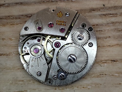 Cauny prima watch - cauny, fef