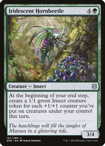Mtg iridescent hornbeetle - iridescent, ~