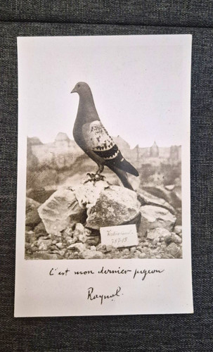Rppc wwi famous - wwi,