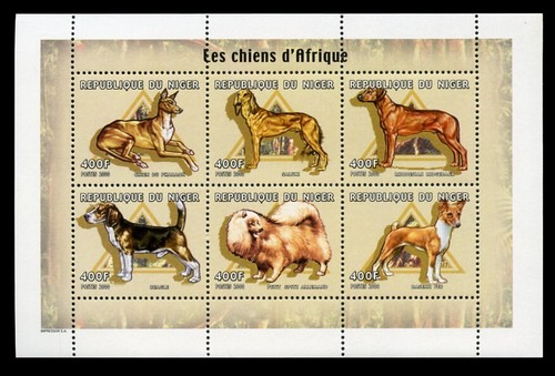 Basenji rhodesian ridgeback - rhodesian,