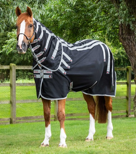 Premier equine magni teque - equine, magni-teque