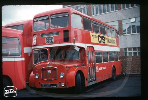 Original bus slide alder - slide,