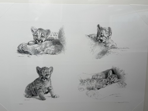 Rocky camp cubs carl - camp,