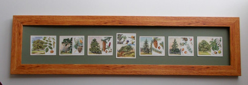 Original cigarette cards - cigarette, by