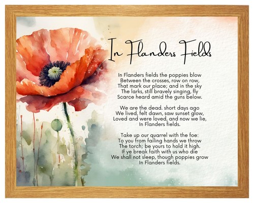 Flanders fields where - in,