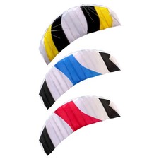 Stunt kite two line - with,