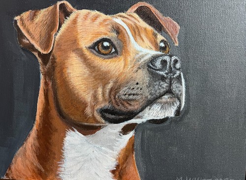 Staffordshire bull - staffordshire,