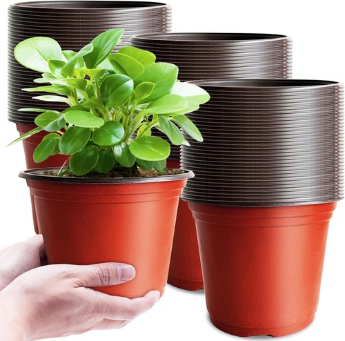 100 pcs plant nursery pots - 100,