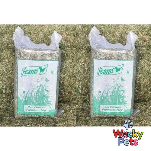 Timothy rye grass - timothy, hay