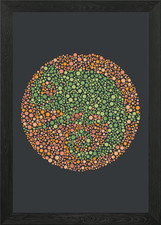 Ishihara Chameleon Framed Wall