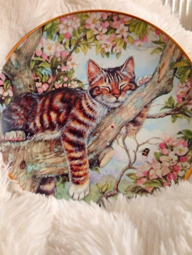 Danbury mint debbie cook - danbury,