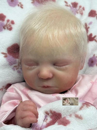 Pbn bargain reborn baby - pbn***, bargain***