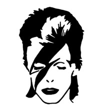 DAVID BOWIE ZIGGY STARDUST