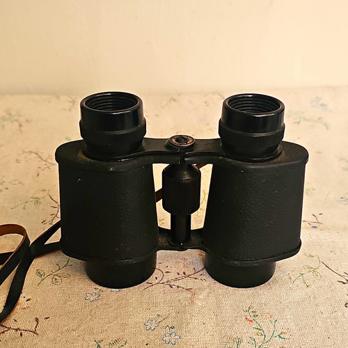 Steiner achromat 4x10 compact - steiner,