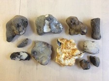 Flint Norfolk UK Cretaceous