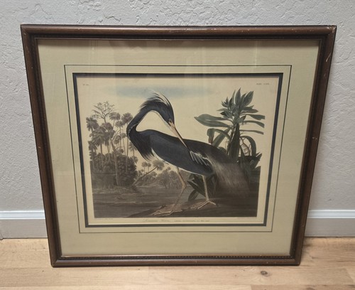 Vtg audubon louisiana - vtg,