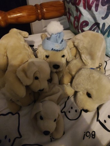 Andrex puppy plush - plush, teddy