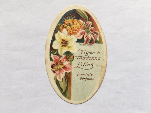 Cww1 vintage tiger - cww1, tiger&madonna
