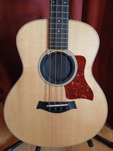 Taylor mini bass - gs, –