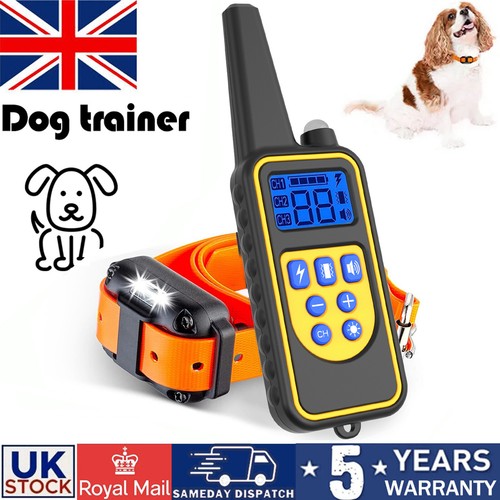 Dog pet training collar - collar, with